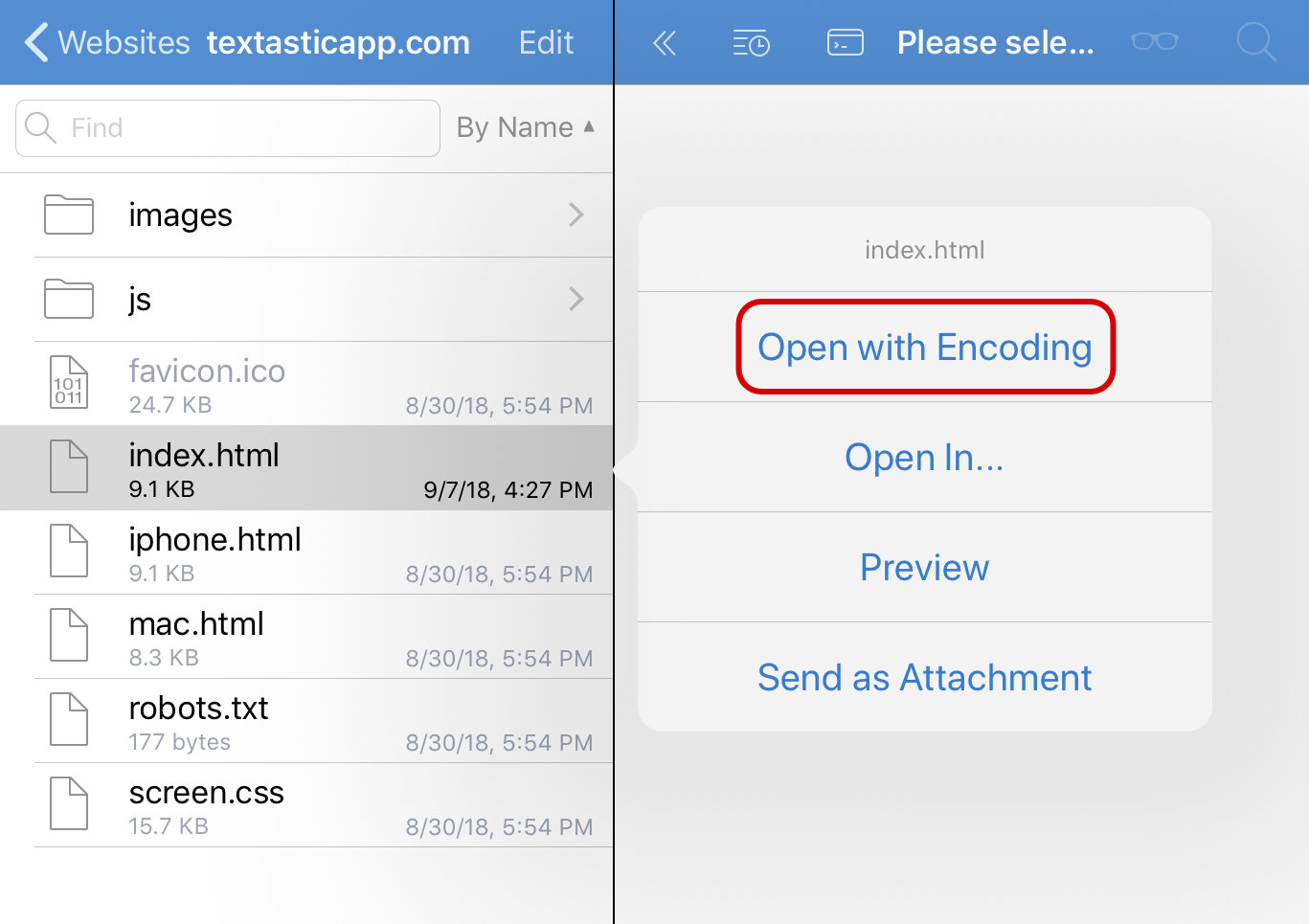 Open with Encoding